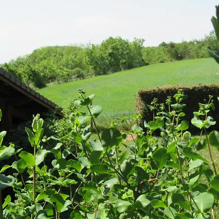 Le Temps D'une Pause Homestay